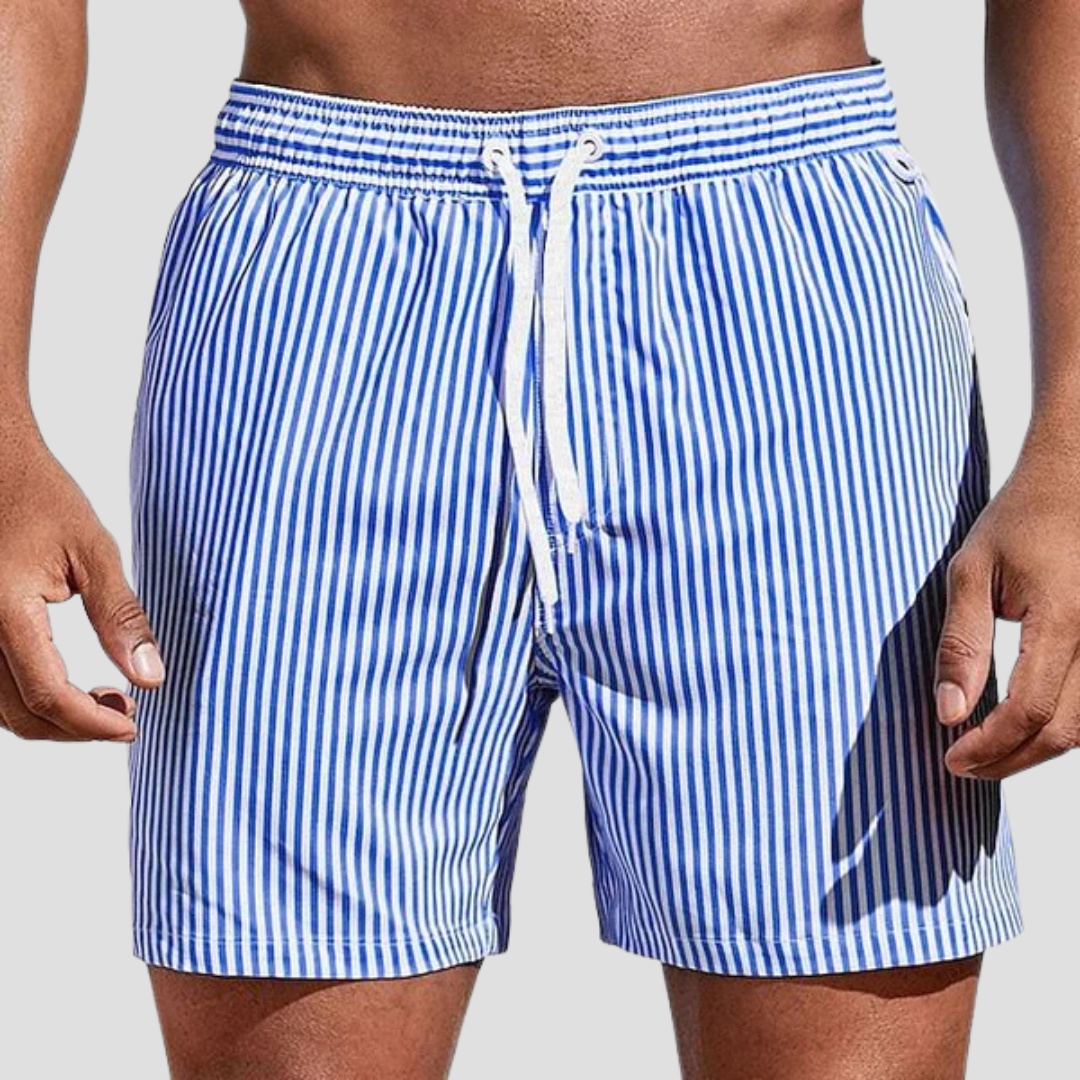 Striped Swim Shorts For Men | Jorven 0